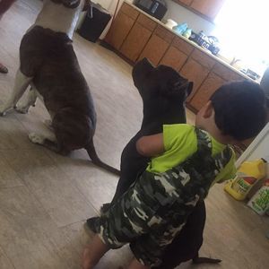 Meet your Posher, Juan